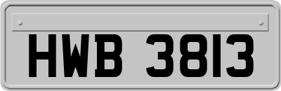HWB3813