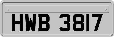 HWB3817