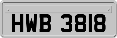 HWB3818