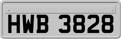 HWB3828
