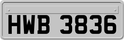 HWB3836