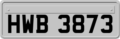 HWB3873