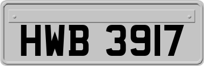 HWB3917