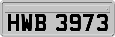 HWB3973