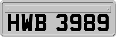 HWB3989