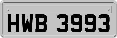 HWB3993