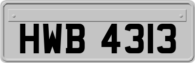HWB4313