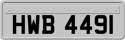 HWB4491