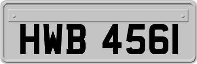 HWB4561