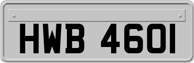 HWB4601