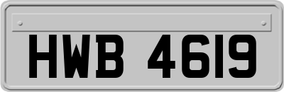 HWB4619