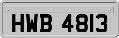HWB4813