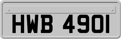 HWB4901
