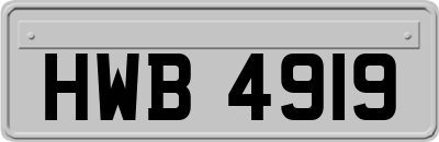 HWB4919