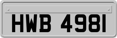 HWB4981