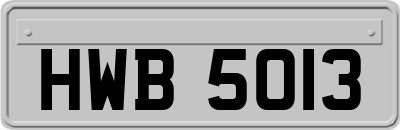 HWB5013