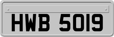HWB5019