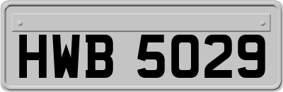 HWB5029