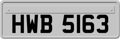 HWB5163