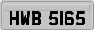 HWB5165