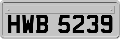 HWB5239