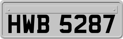 HWB5287