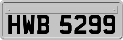 HWB5299