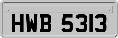 HWB5313