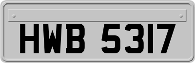 HWB5317