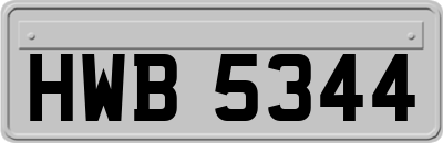 HWB5344