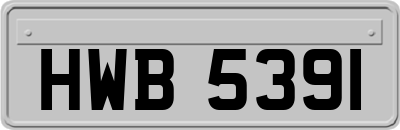 HWB5391