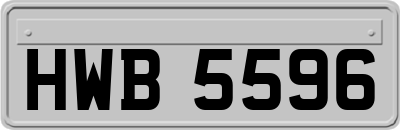 HWB5596