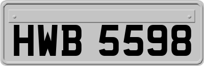 HWB5598