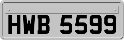 HWB5599
