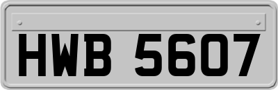 HWB5607