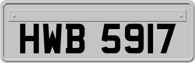 HWB5917