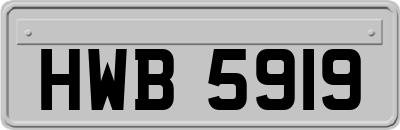 HWB5919
