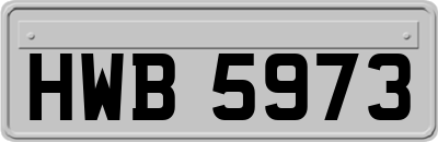 HWB5973