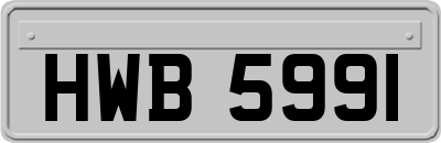 HWB5991
