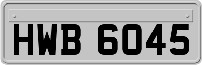 HWB6045