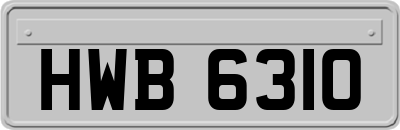 HWB6310