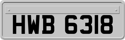 HWB6318