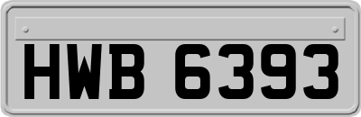 HWB6393