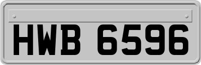 HWB6596