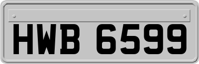 HWB6599
