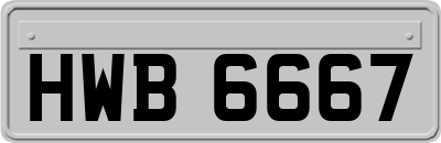 HWB6667