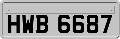 HWB6687