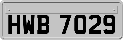HWB7029