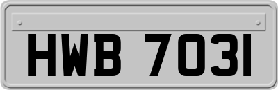 HWB7031