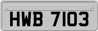 HWB7103